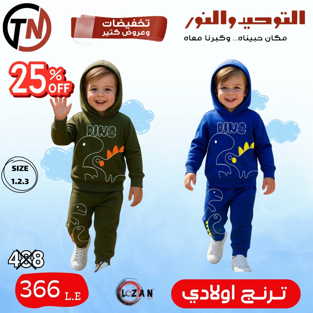 altawheed-wa-alnoor offers from 18dec to 31dec 2025 عروض التوحيد والنور من 18 ديسمبر حتى 31 ديسمبر 2025 صفحة رقم 33